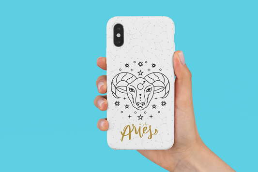 Case "Aries"