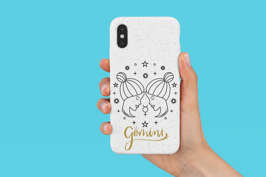 Case "Gemini"