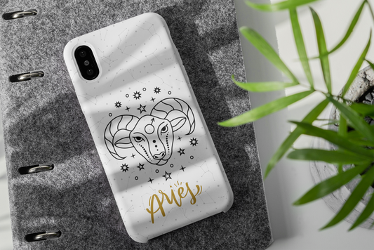 Case "Aries"